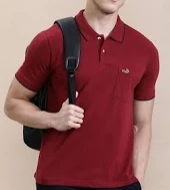 Allen Solly Men's POLO Red T-Shirt